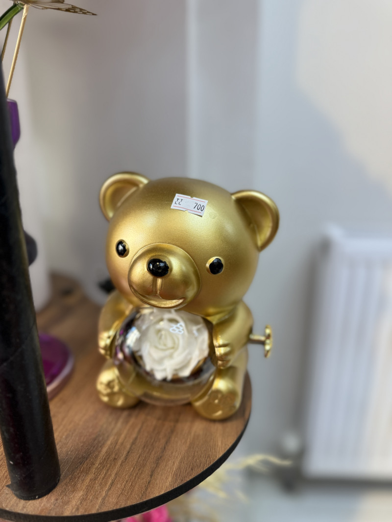 Ayıcık