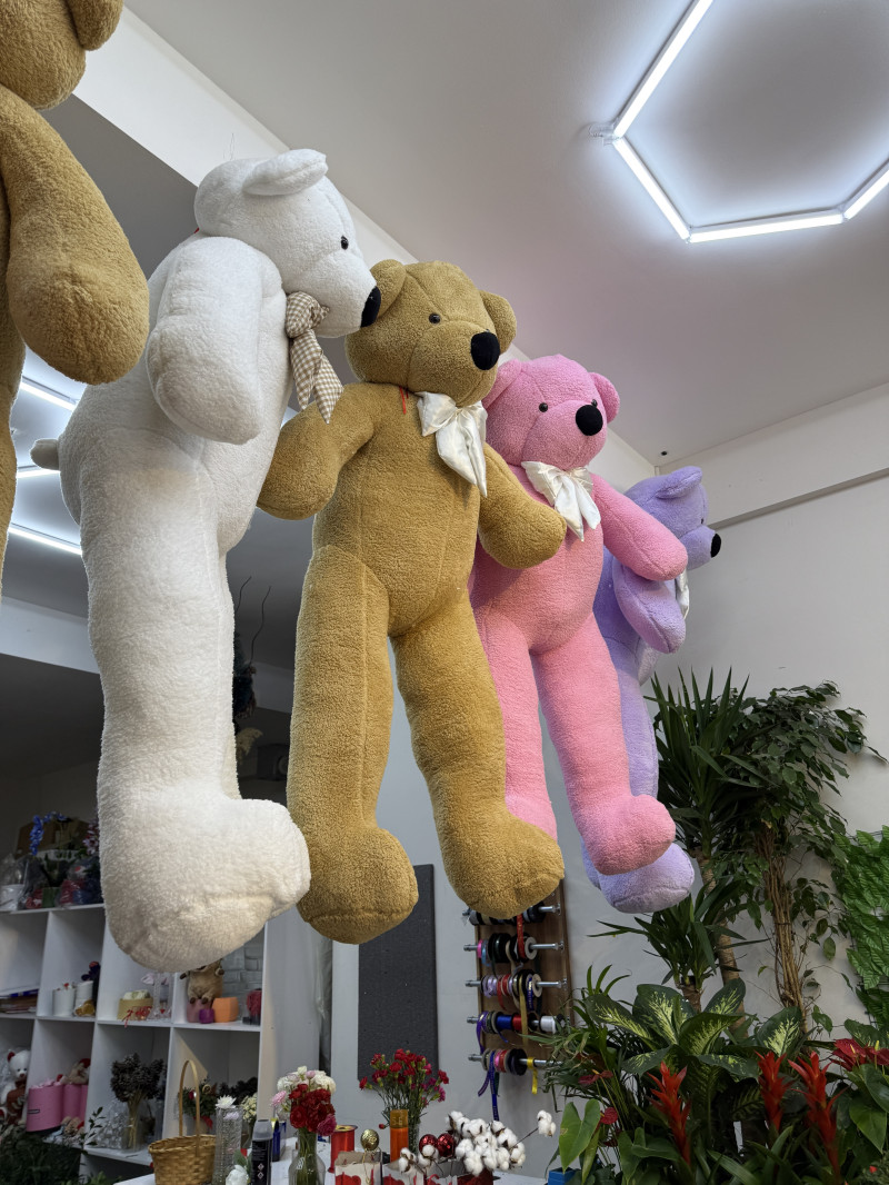 2 metre Peluş ayı