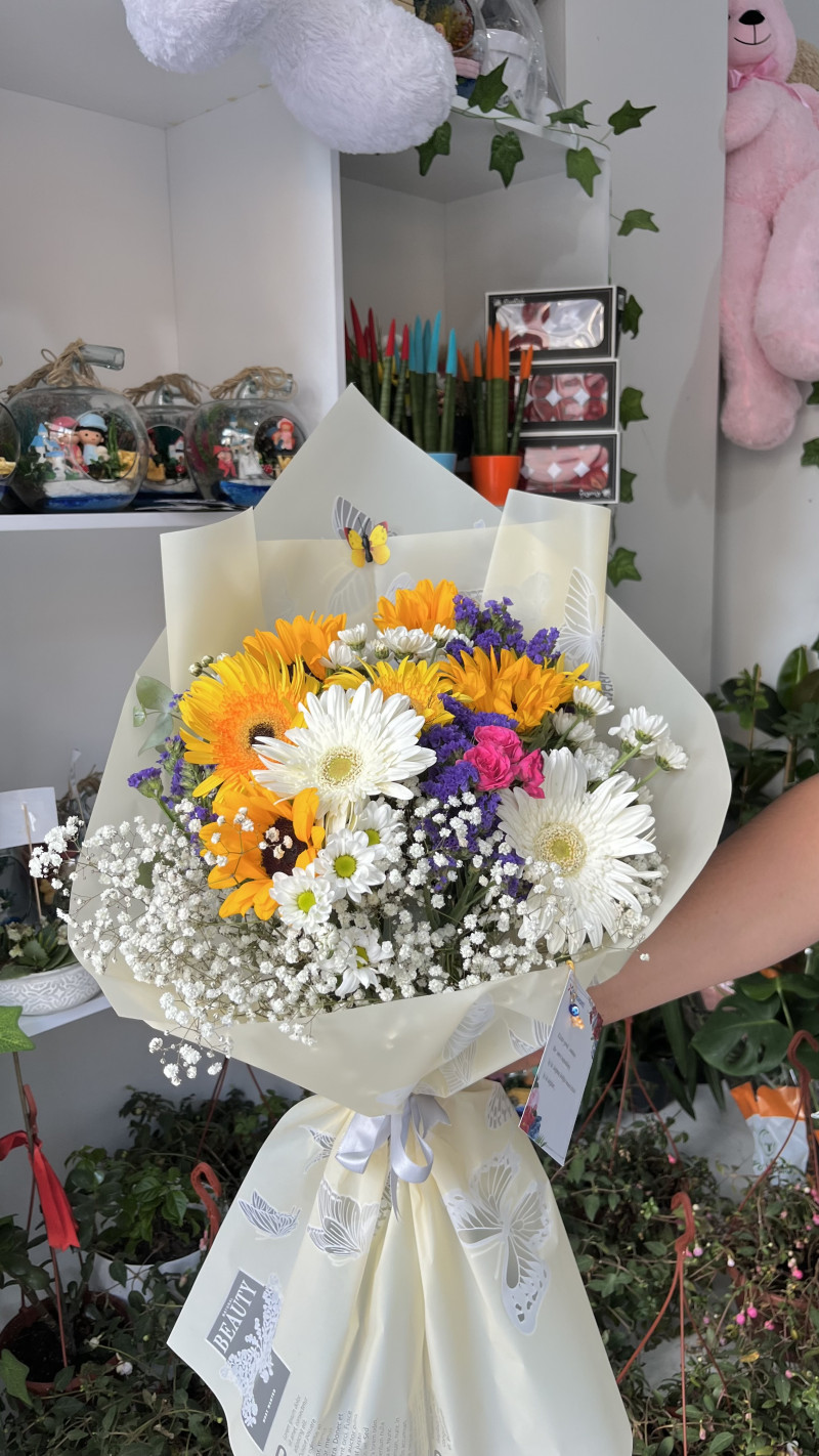 Gerbera